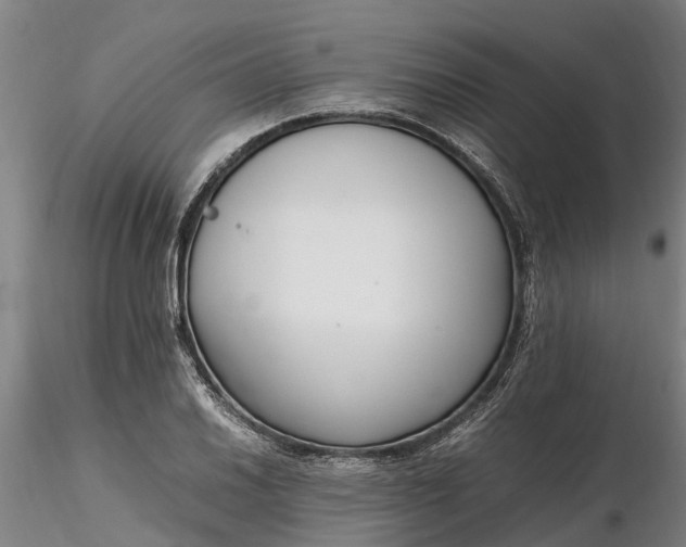 X0000116351030200912151346