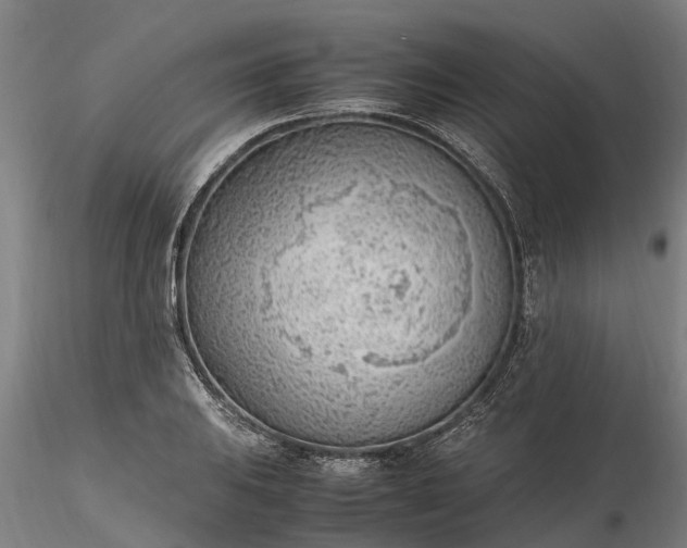 X0000116351031200912151346