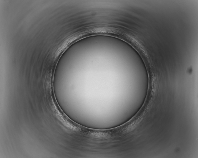 X0000116351033200912151346