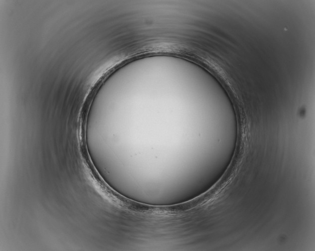 X0000116351034200912151346