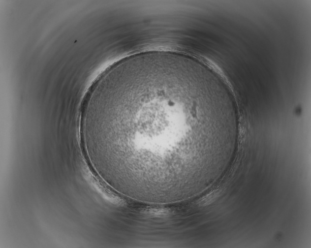 X0000116351035200912151346