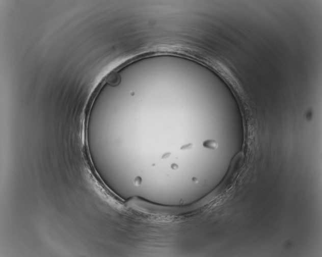 X0000116351036200912151346