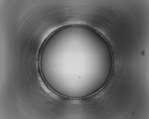 X0000116351038200912151346