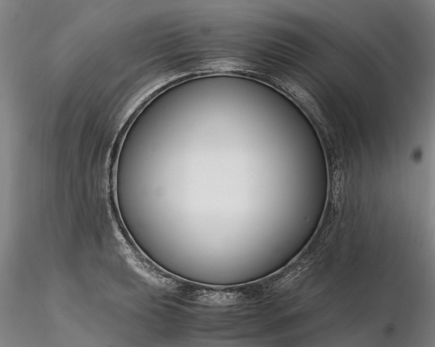 X0000116351039200912151346