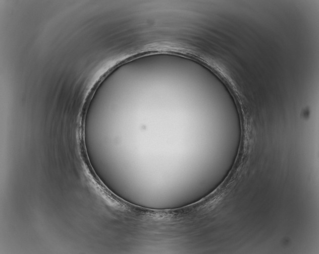 X0000116351040200912151346