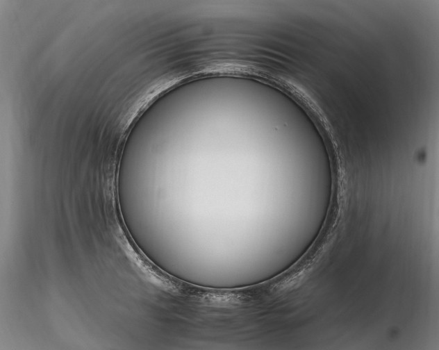 X0000116351041200912151346