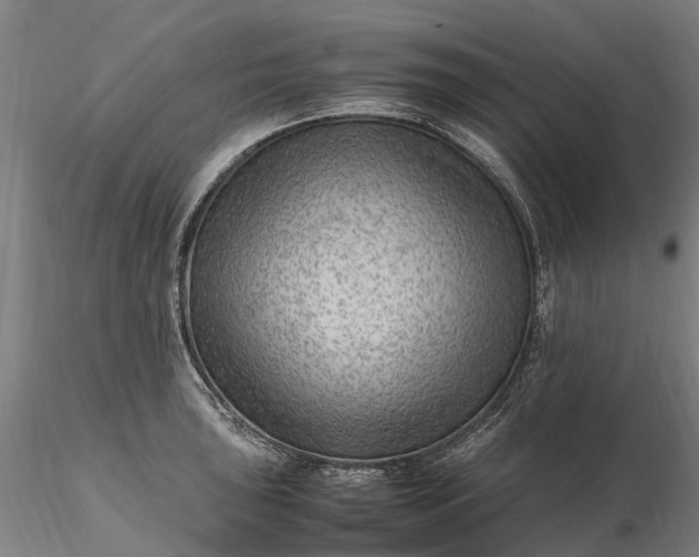 X0000116351043200912151346