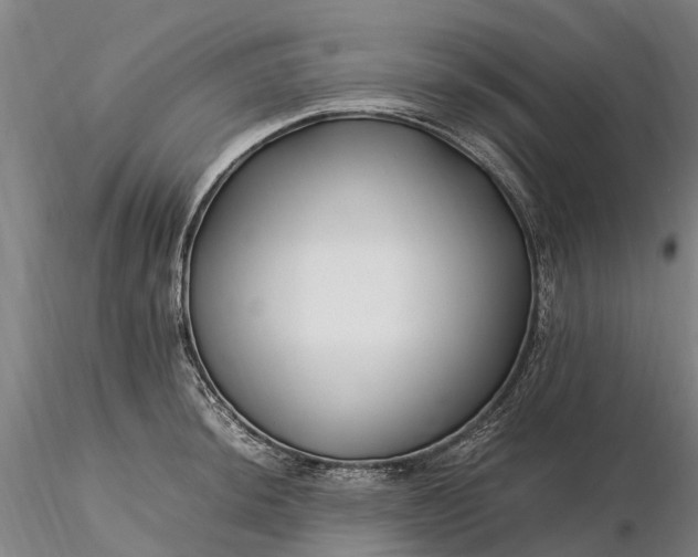 X0000116351044200912151346