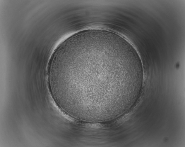 X0000116351045200912151346