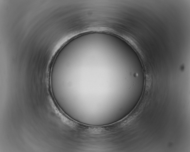 X0000116351046200912151346