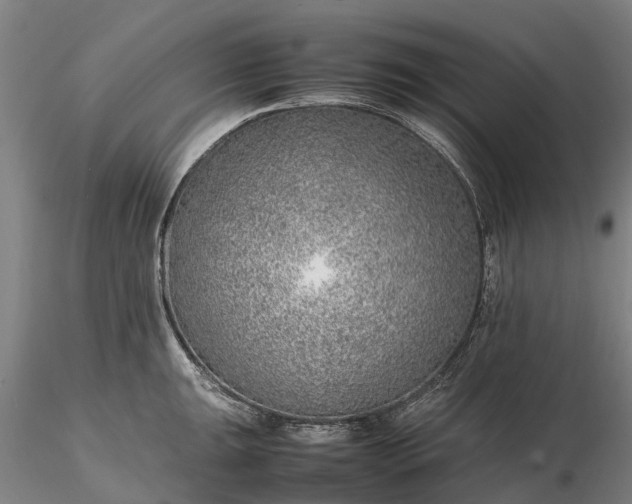 X0000116351047200912151346