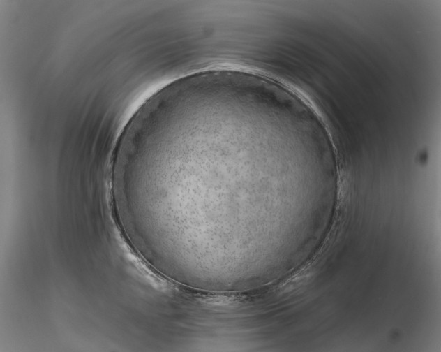 X0000116351048200912151346