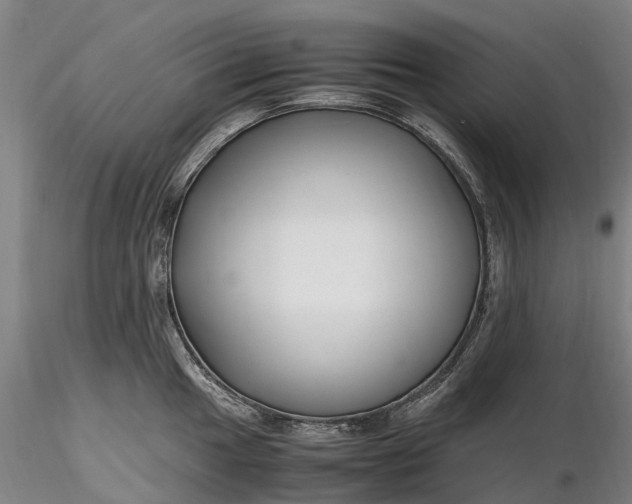 X0000116351049200912151346