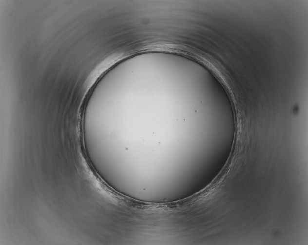 X0000116351050200912151346