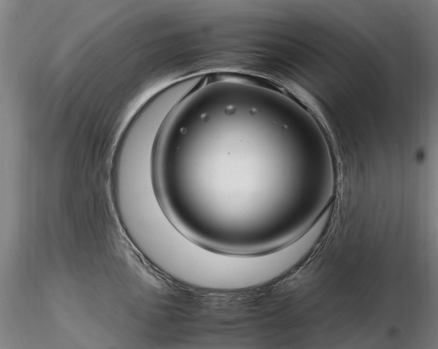 X0000116351051200912151346