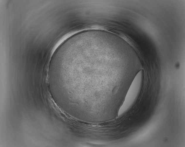 X0000116351052200912151346