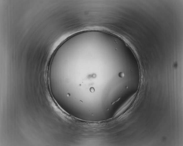 X0000116351054200912151346