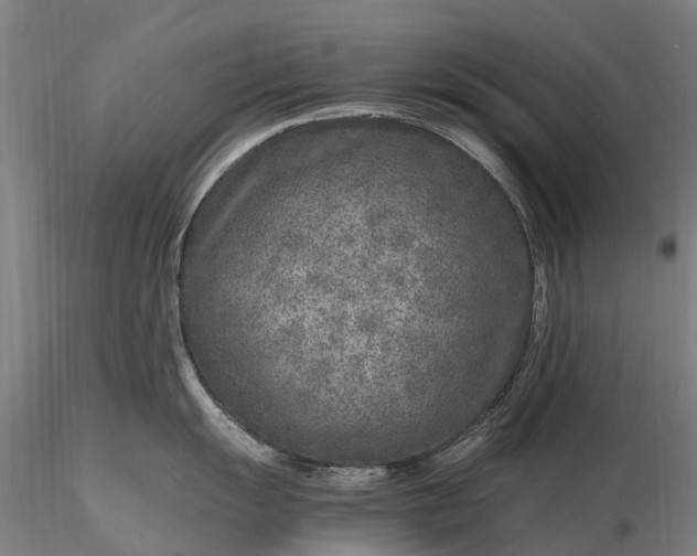 X0000116351055200912151346