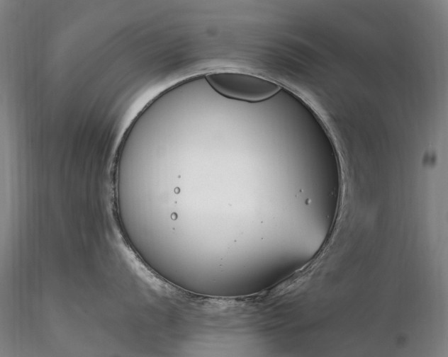 X0000116351056200912151346