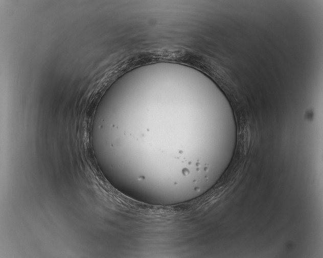 X0000116351058200912151346