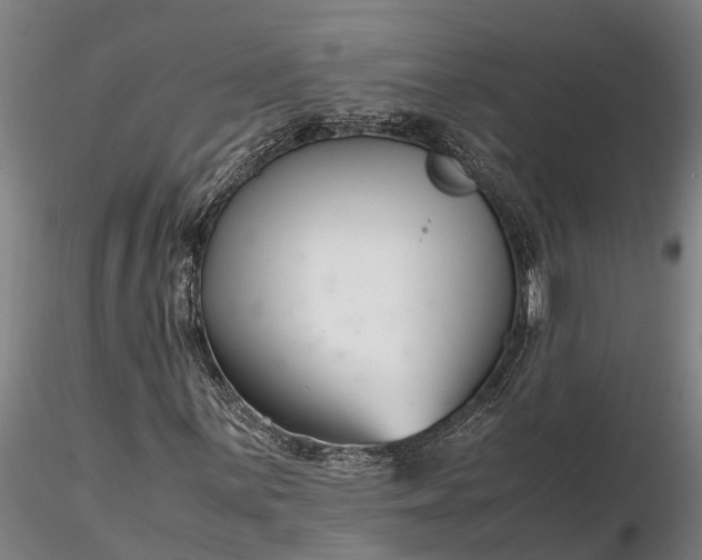 X0000116351059200912151346