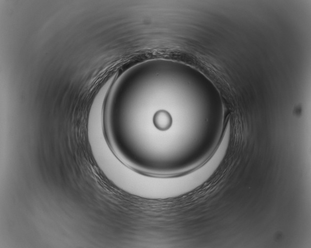 X0000116351060200912151346