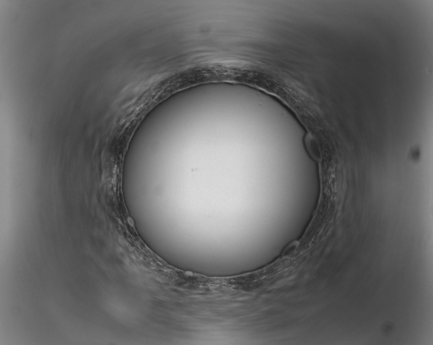 X0000116351061200912151346