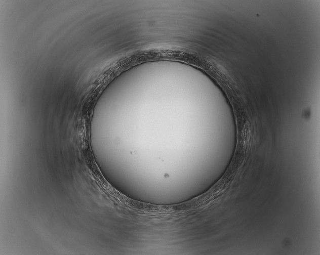 X0000116351062200912151346