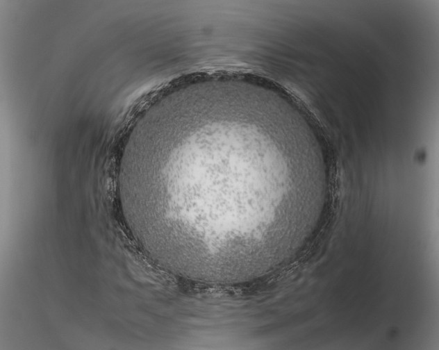 X0000116351063200912151346