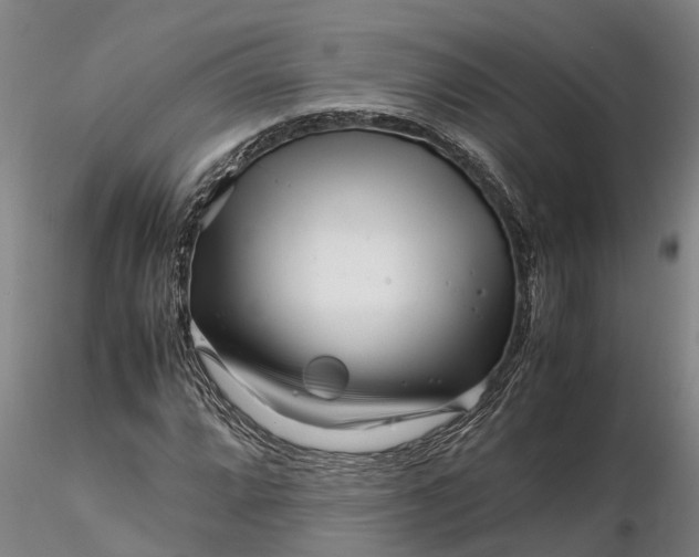 X0000116351064200912151345