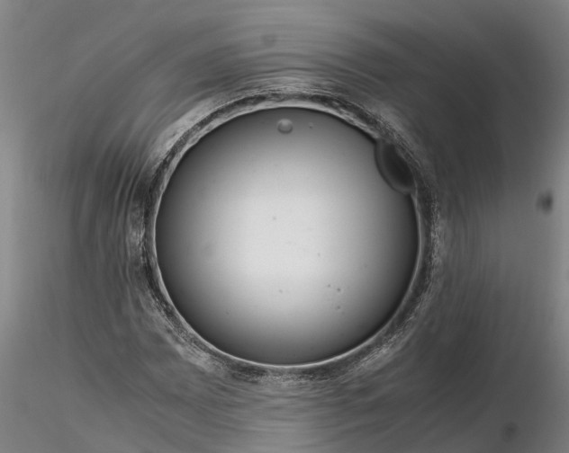 X0000116351065200912151345