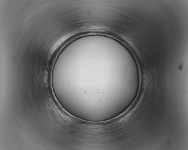 X0000116351066200912151345