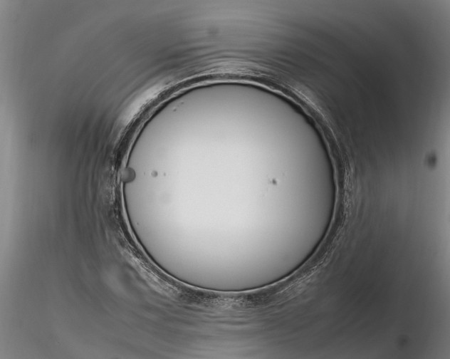 X0000116351067200912151345