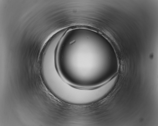 X0000116351068200912151345