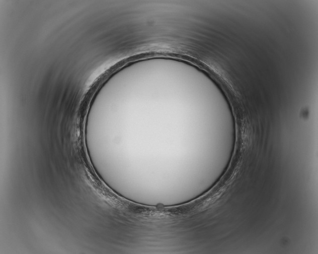 X0000116351070200912151345