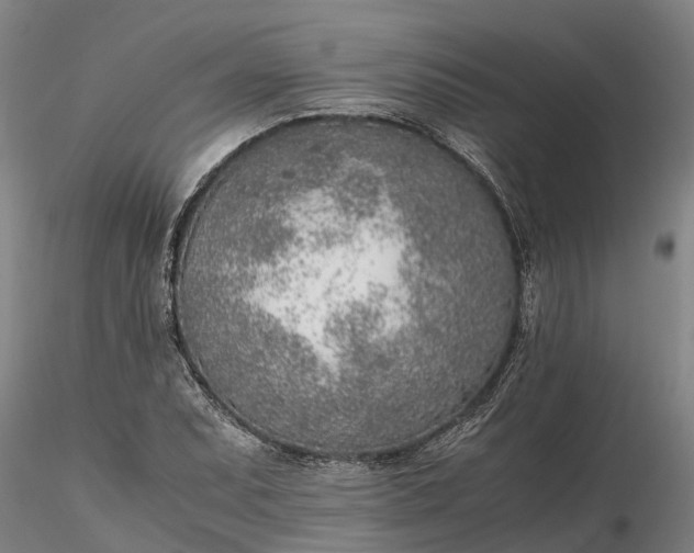 X0000116351071200912151345