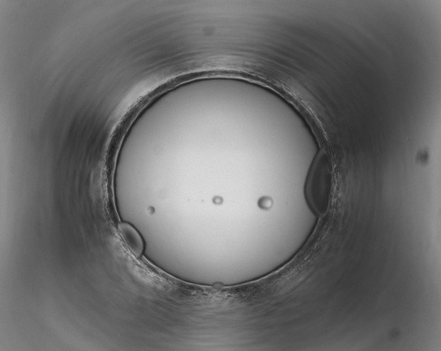 X0000116351072200912151345