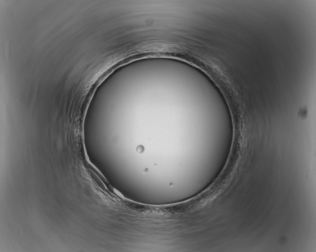 X0000116351073200912151345