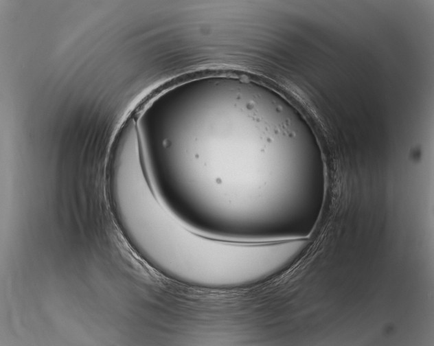 X0000116351076200912151345