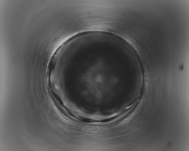 X0000116351077200912151345