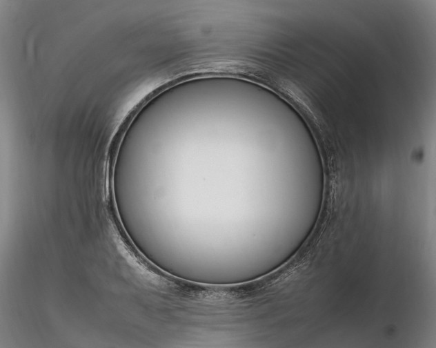 X0000116351079200912151345