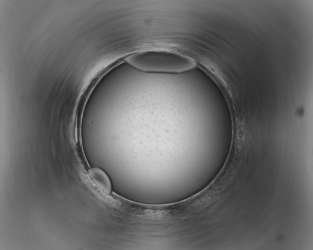 X0000116351080200912151345