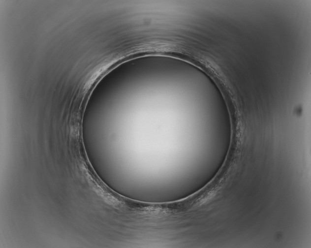 X0000116351081200912151345