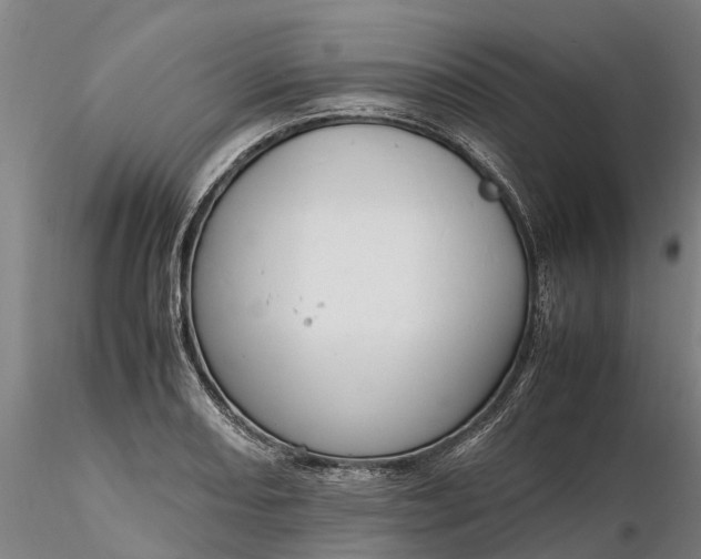 X0000116351082200912151345