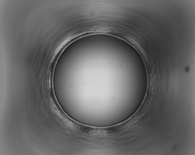 X0000116351083200912151345