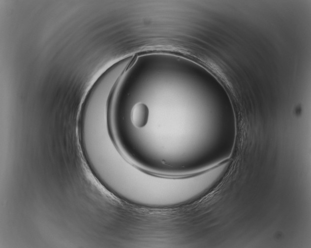 X0000116351084200912151345