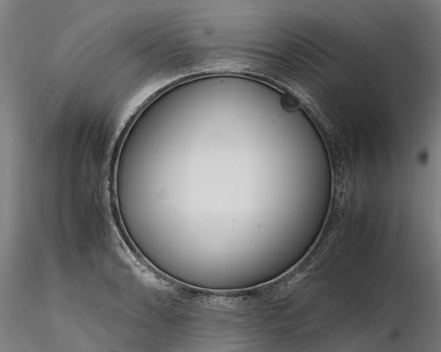 X0000116351086200912151345