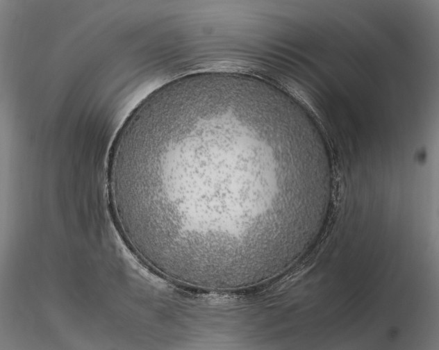 X0000116351087200912151345