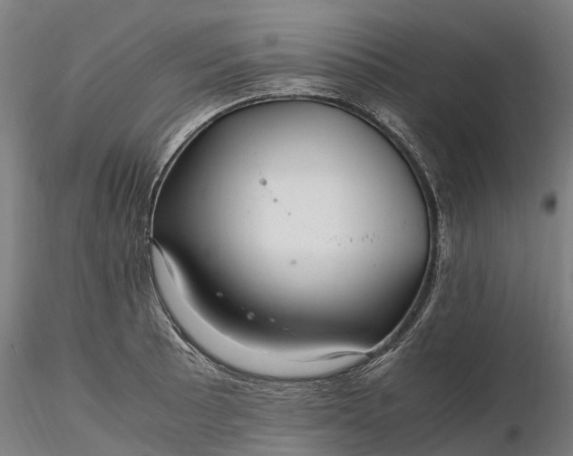 X0000116351089200912151345