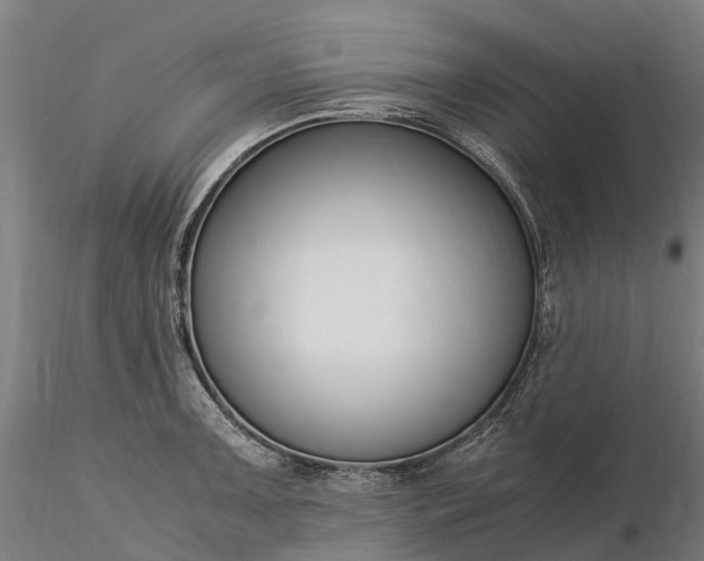 X0000116351091200912151345